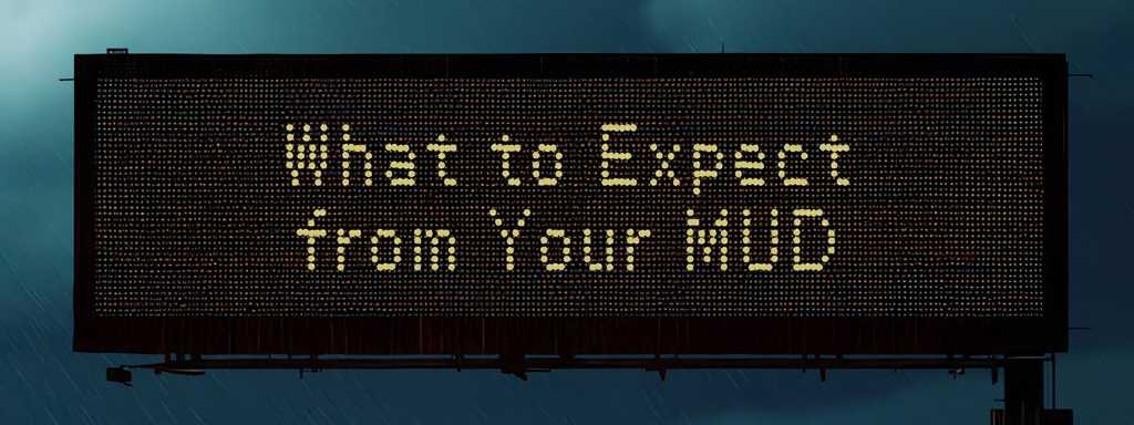 Overhead Texas digital road sign that says What To Expect from Your MUD